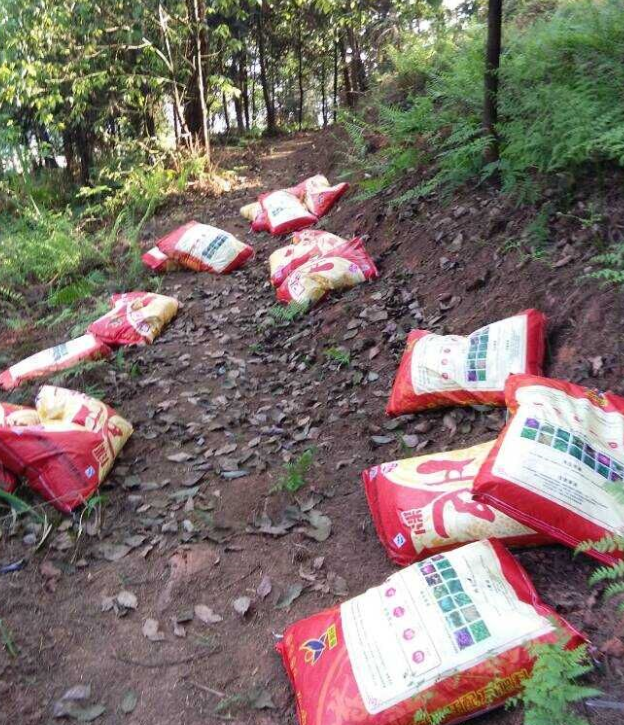 石城山工区施底肥，苗木修剪及栽植.png